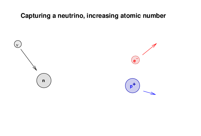 neutrino interactions