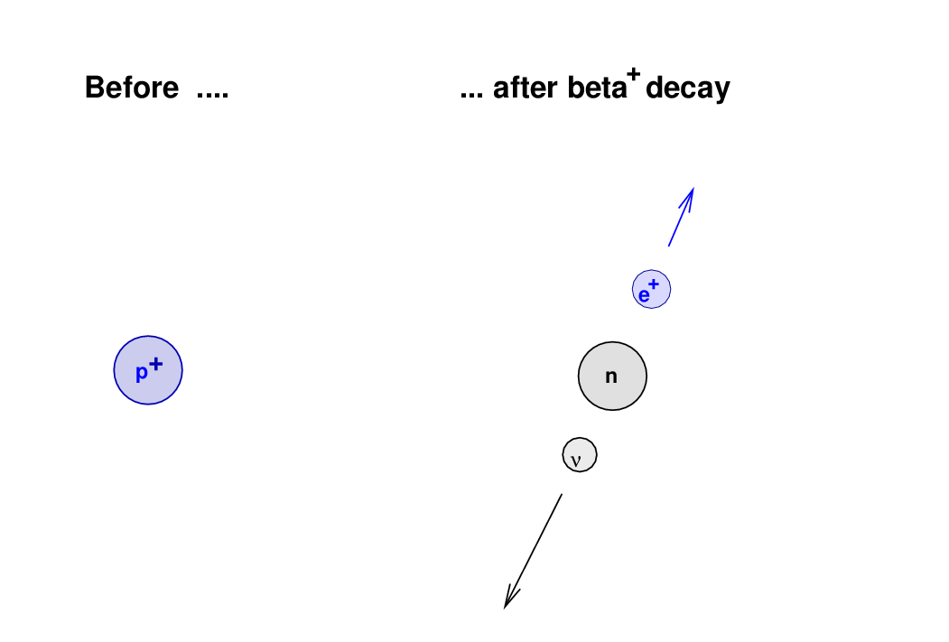 beta plus decay neutrino energy