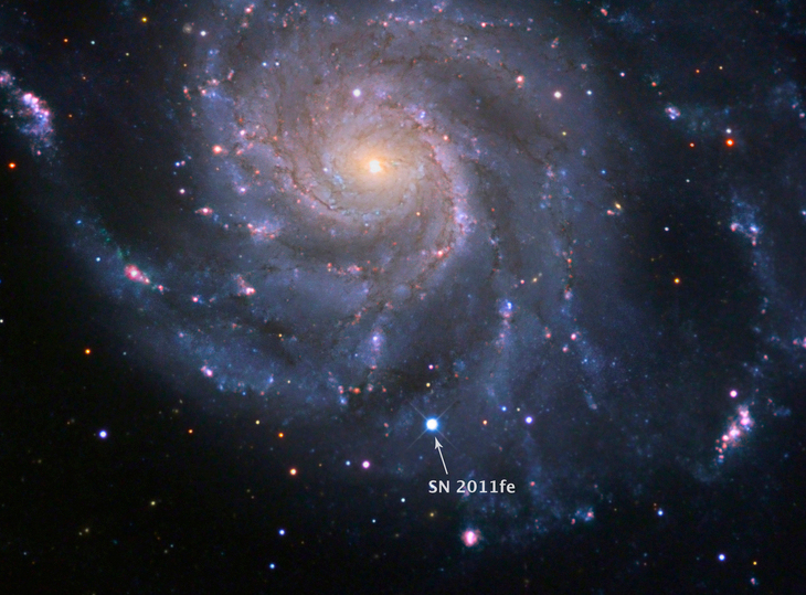 a type 1a supernova in galaxy