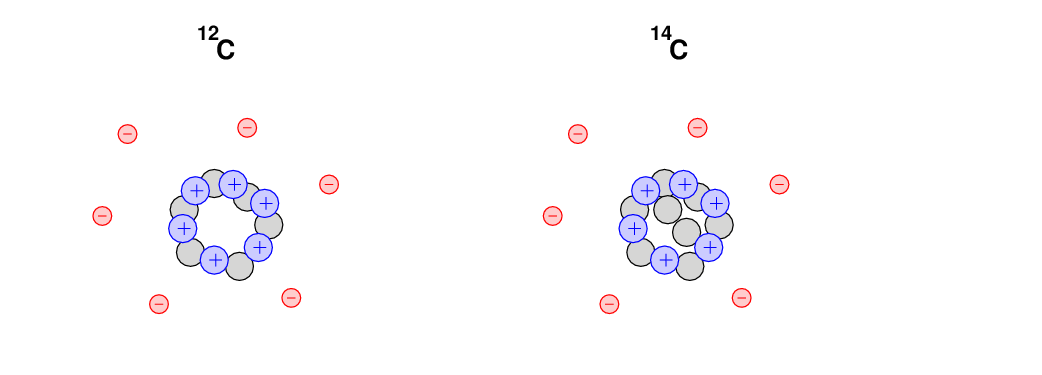 identify two differences between carbon 12 and carbon 14