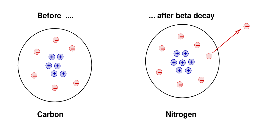 neutron beta decay